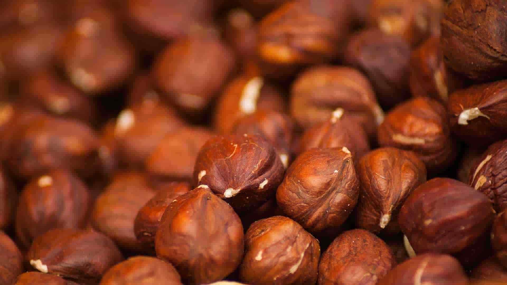تصویر 2 از خرید و قیمت فندق افغانستان + فروش عمده